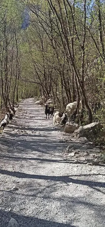 Villa Zora, Starigrad Paklenica, Seline